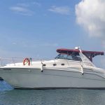 Why Knot 2 Yacht | 46ft Sea Ray Cabin Cruiser | Singapore Yacht Charter